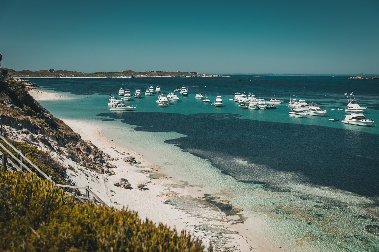 Découverte de Perth et Rottnest Island